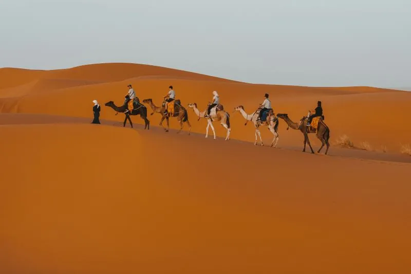 Camel caravan in the Erg Chebbi dunes on the 8 days desert tour from Agadir