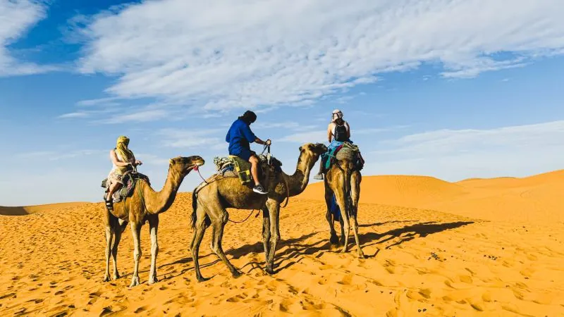 Camel caravan silhouetted against a golden desert sky