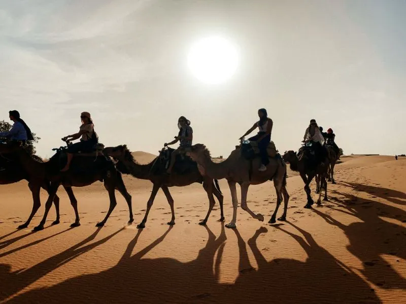 Sunrise Camel Trek in Merzouga