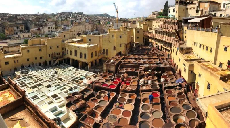 View over the Fes medina on 12 Days Tour from Marrakech