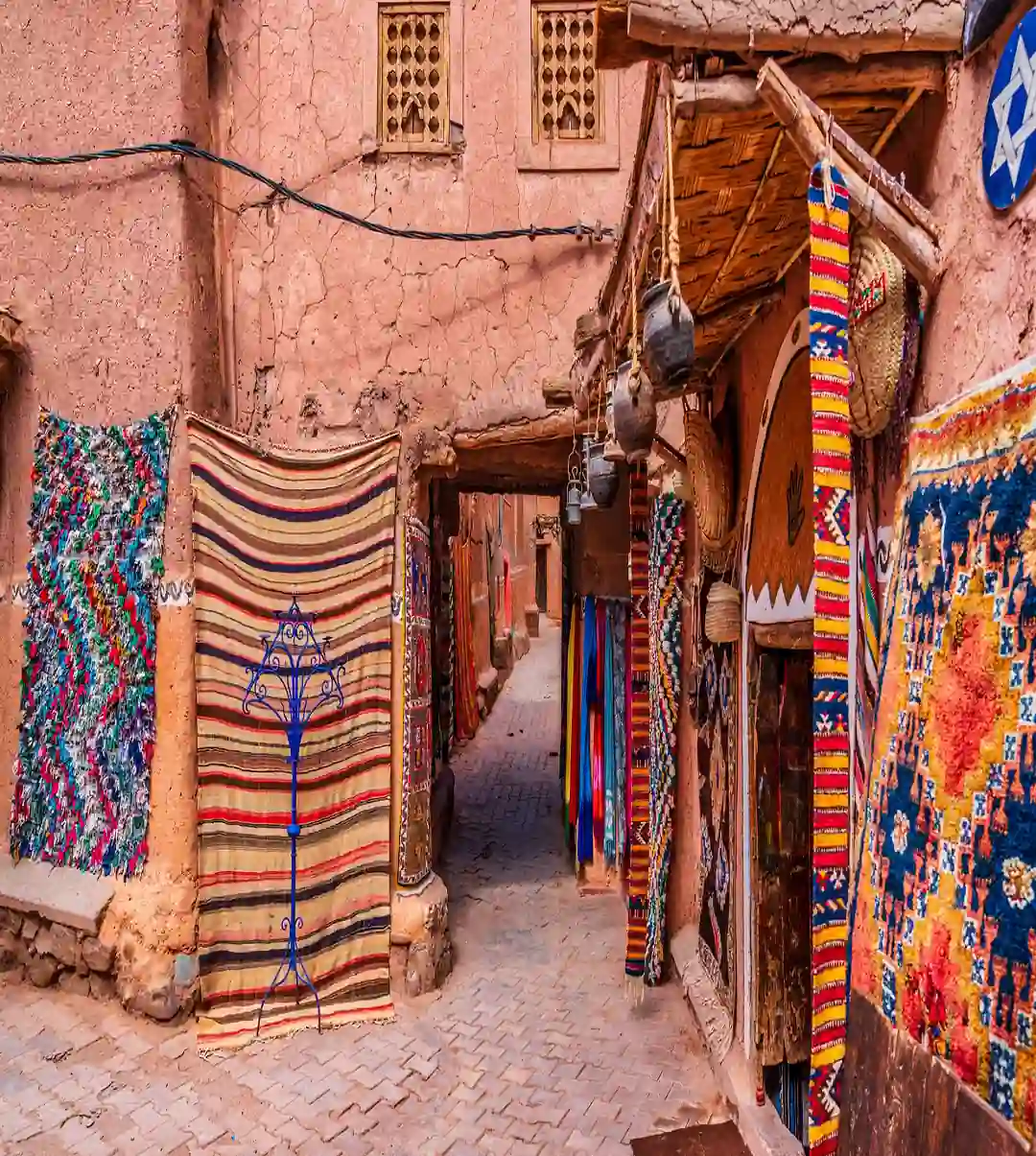 : tour marrakech in one day