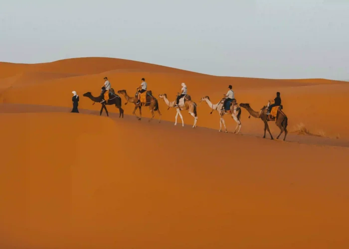 3 DAYS DESERT TOUR FROM FES