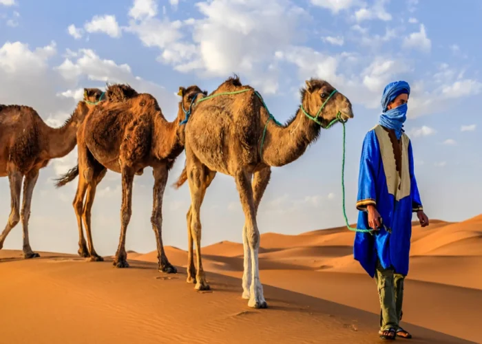 3 Days Marrakech Desert Tour