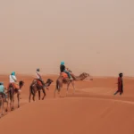 6 Days in Morocco from Tangier