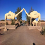 Tours from Errachidia