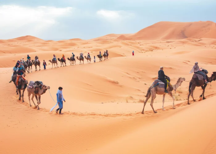 sunrise camel trek in Merzouga